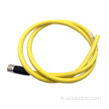 Câble PUR pour connecteur d'alimentation M12 codé en T